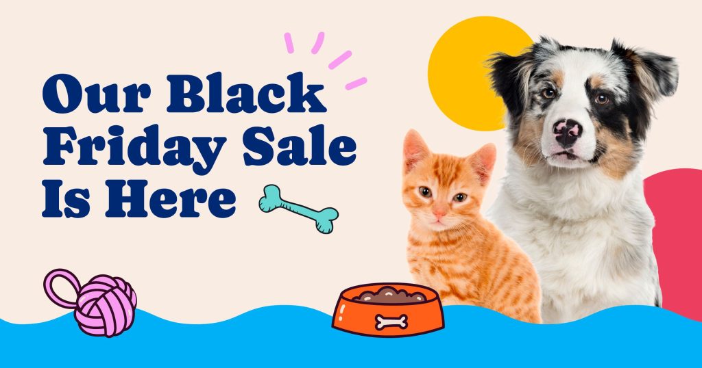 Our Black Friday Sale Is Here banner from Pet Source with a dog, kitten, and pet supplies