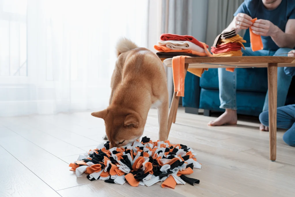 Shiba Inu foraging in an orange and white snuffle mat, one of the best interactive dog toys for boredom