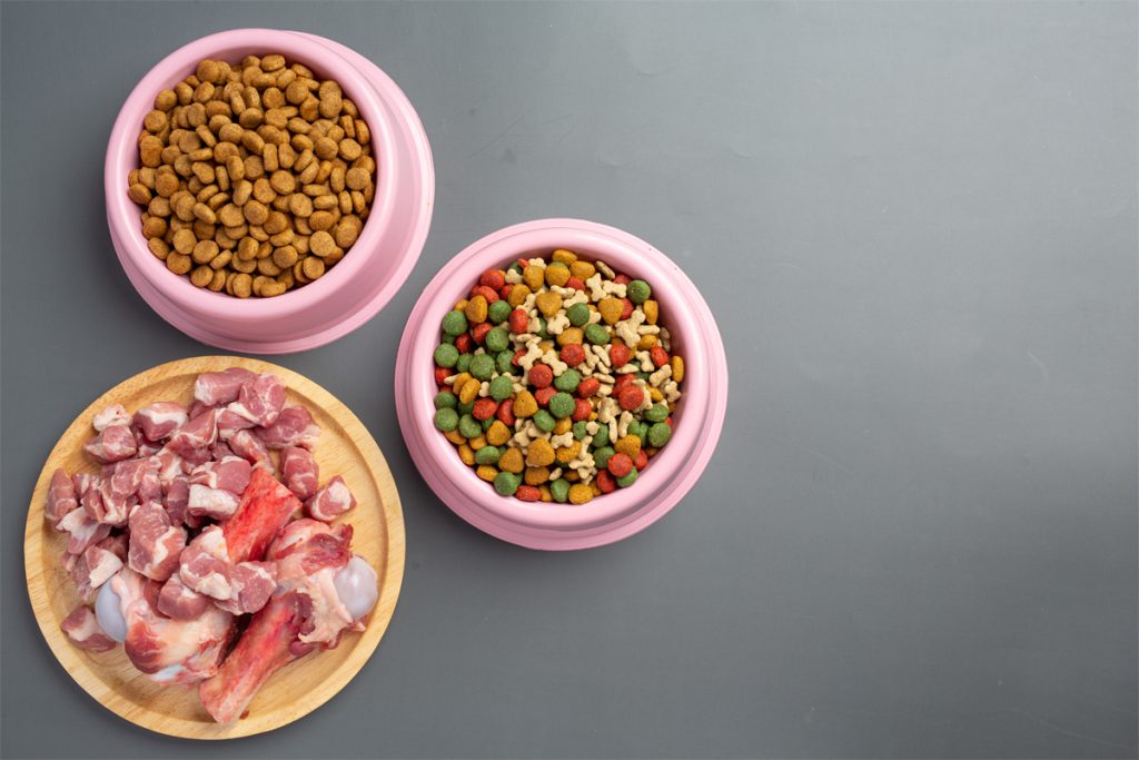 Bowls of kibble and a plate of raw meat compared, from a freeze dried vs raw vs kibble dog food guide
