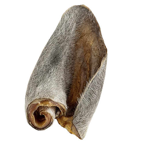 Raw-Dog-Cow-Ears-With-Hair